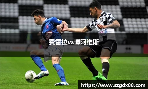 费雷拉vs博阿维斯