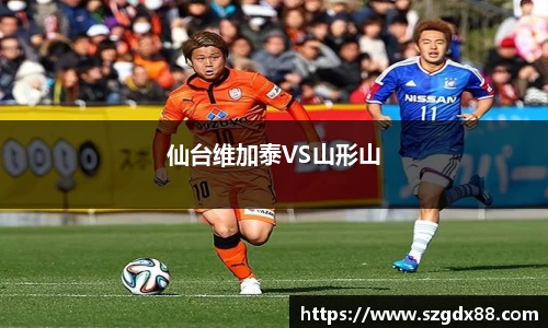 仙台维加泰VS山形山